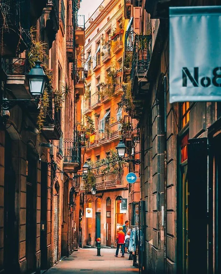 Cozy Apartment Near Sagrada Familia Barcelona 0*,  Spain